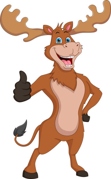cartoon süßer elch daumen hoch - elch comic stock-grafiken, -clipart, -cartoons und -symbole
