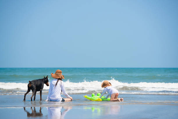istock Mother, daughter and doberman playing on the beach 1447193395