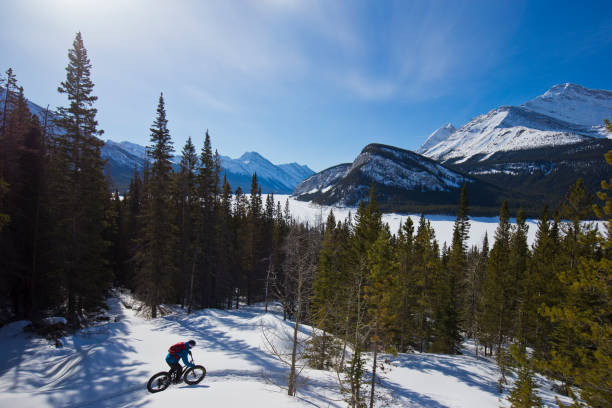 istock Winter Fat Bike Adventure 1447196215