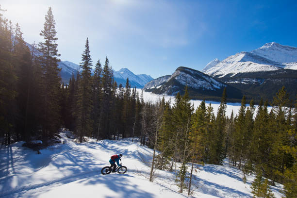 istock Winter Fat Bike Adventure 1447196284