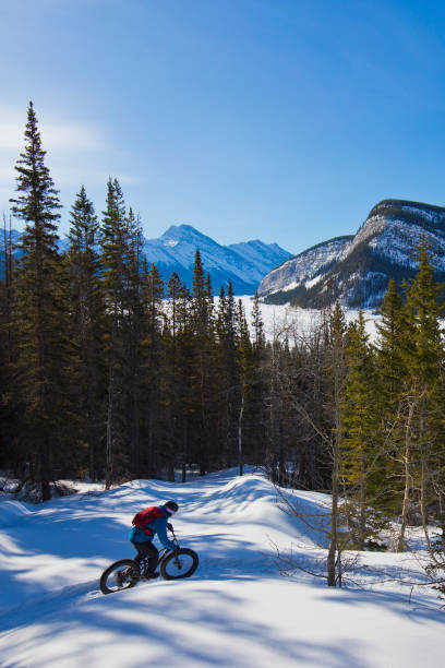 istock Winter Fat Bike Adventure 1447196292