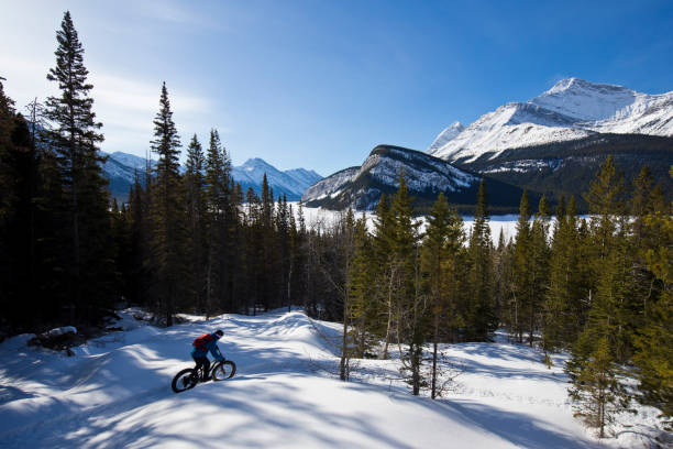 istock Winter Fat Bike Adventure 1447196299