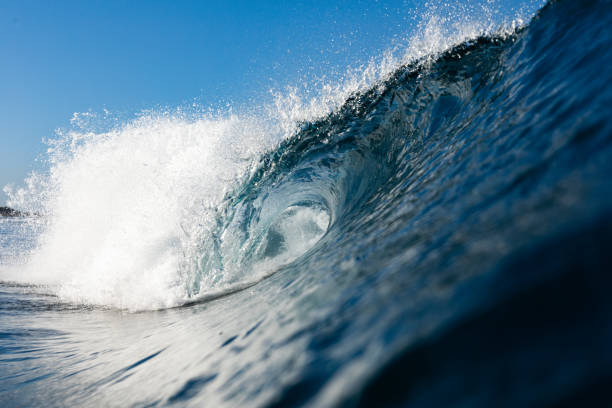 istock Wave breaking on a summer day at the beach 1447196440