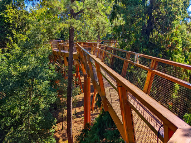 istock Park Treetop Walkway Serralves Porto 1447197315