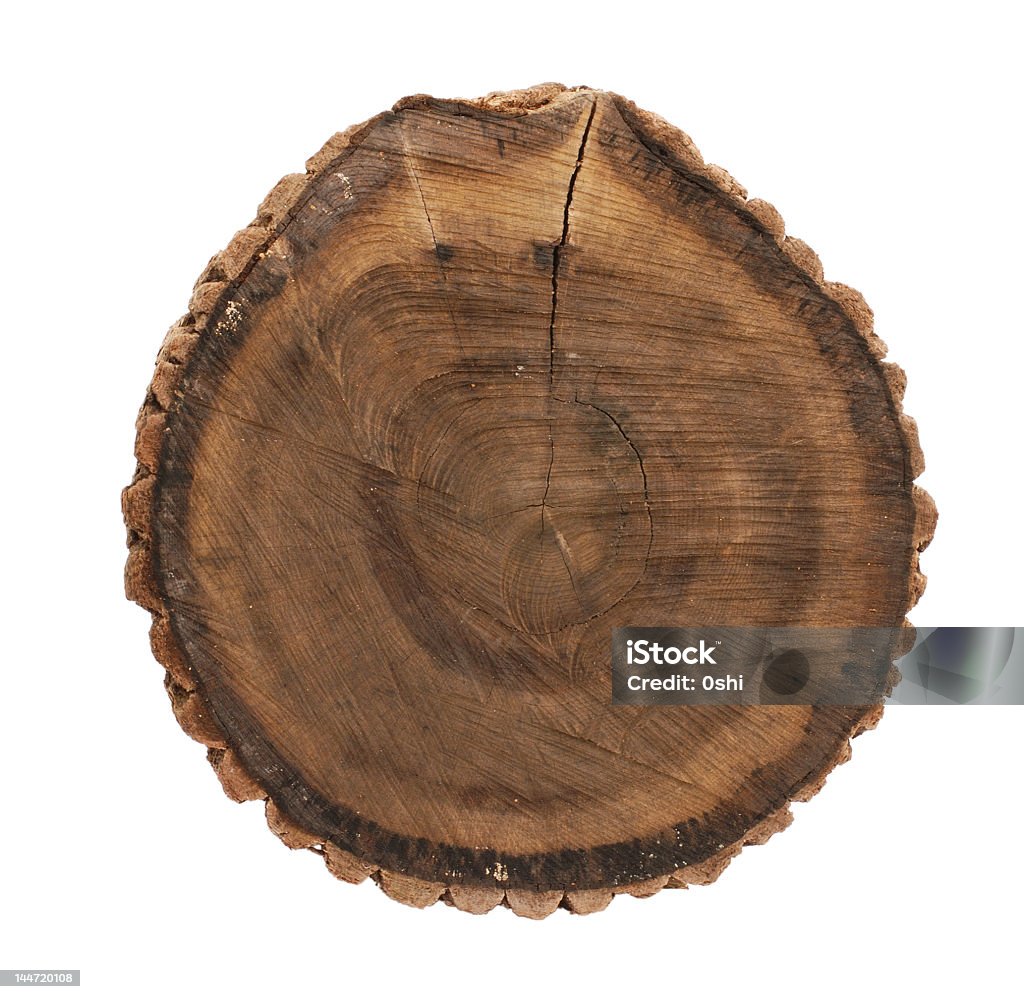 Столбик Oak - Стоковые фото Пень роялти-фри