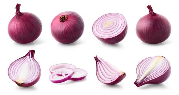 istock Set of various whole and sliced red onions 1447201386
