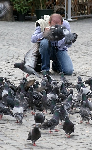 istock doves in front of lens 144720268