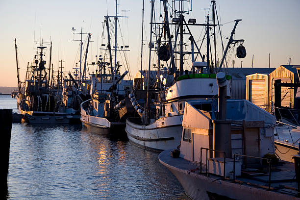 istock Fishing Boats 144720666