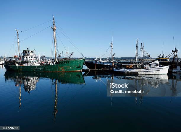 Statki Rybackie Zadokowane W Zatoce W Newport Oregon - zdjęcia stockowe i więcej obrazów Fotografika