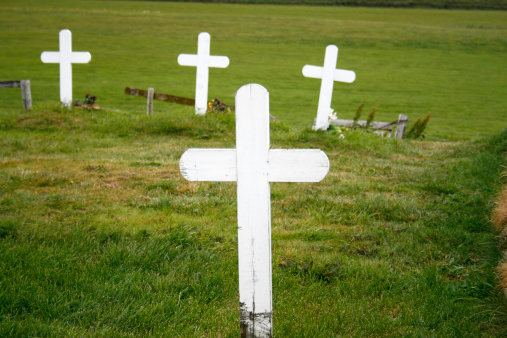 four white wooden and weatherd crosses on a green meadow