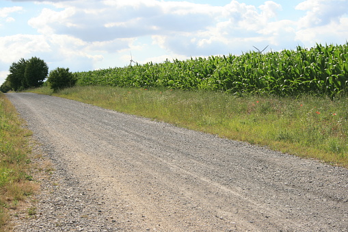 Country road between fields on the coast