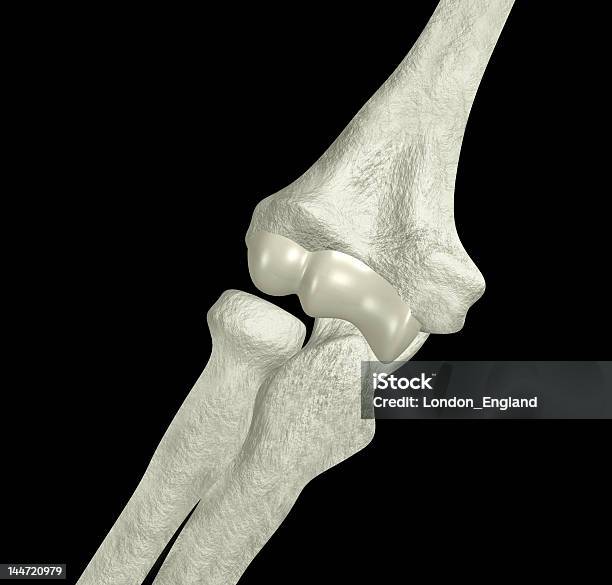 Ellenbogen Bones Stockfoto und mehr Bilder von Alternative Behandlungsmethode - Alternative Behandlungsmethode, Anatomie, Arthritis