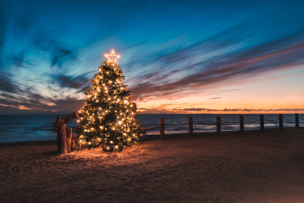 istock Christmas Time on the Beach 1447214009