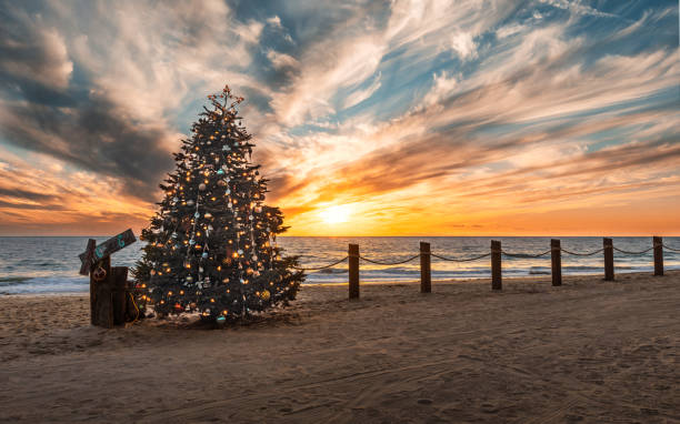 istock Christmas Time on the Beach 1447214413