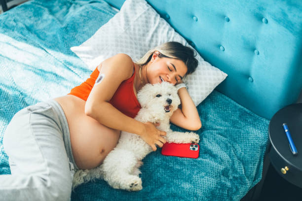młoda kobieta w ciąży drzemka w południe ze swoim psem - touching telephone mobile phone pen zdjęcia i obrazy z banku zdjęć
