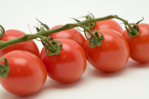 Vine tomatoes stock photo