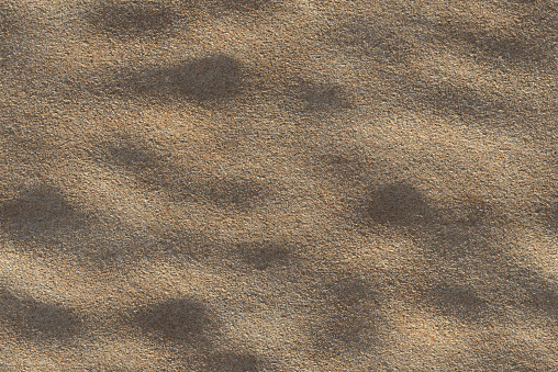 Beach Sand For Background