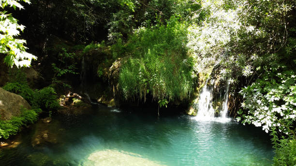 parque natural da cachoeira kursunlu turquia, foto de um drone, cachoeira kursunlu, aksu/antalya - waterfall antalya turkey forest - fotografias e filmes do acervo