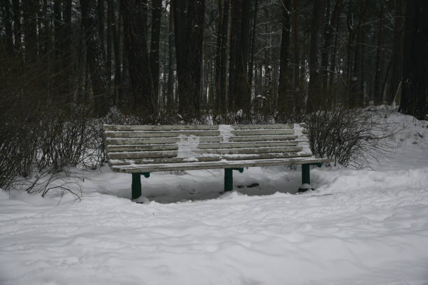 wooden bench in the park is covered with snow