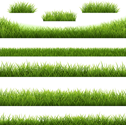 Grass Border Big Set And White Background With Gradient Mesh, Vector Illustration