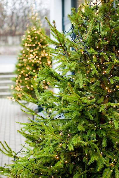 istock Christmas defocused decorated tree garlands. 1447229238