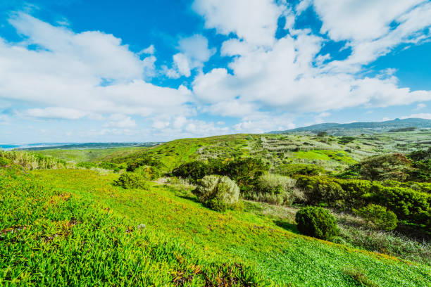 Rolling hills of Orange County