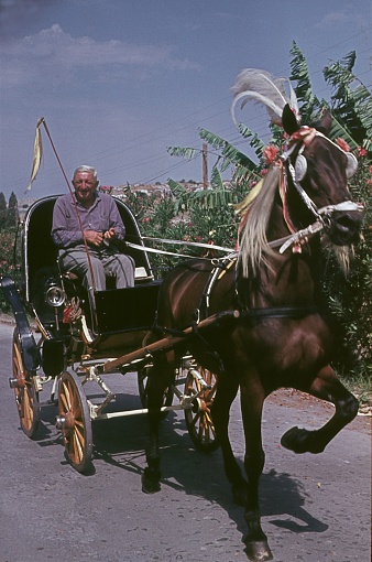 Taormina, Sicily, 1961.Coachman with his horse and carriage.