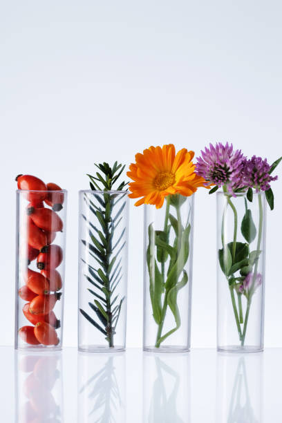 istock Test tubes with herbs on white background. 1447233117