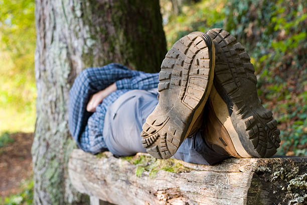 istock Hiker lying on a wooden bench 144723371