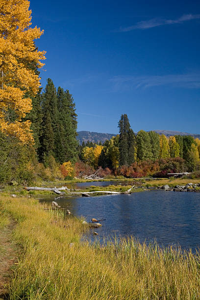 Fall Colors stock photo