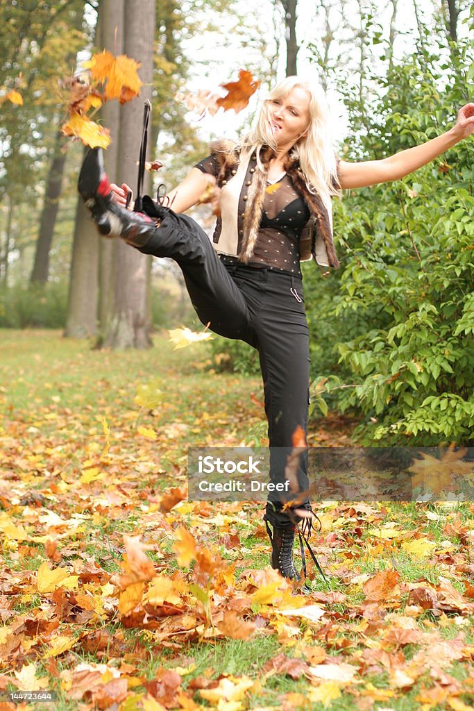 Herbst joy - Lizenzfrei Ahorn Stock-Foto