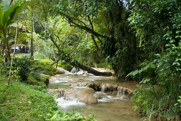 Agua Azul National Park waterfall