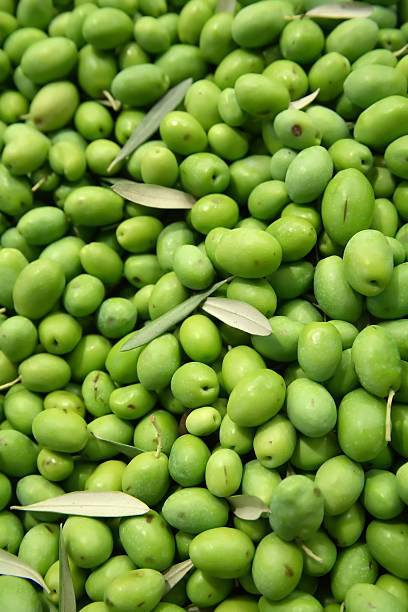 istock Freshly picked green olives and leaves background 144723791