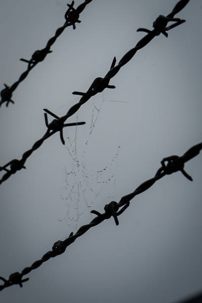 Low angle view of barbed wire against sky