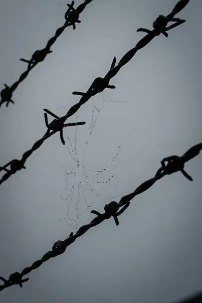 Photo of Low angle view of barbed wire against sky