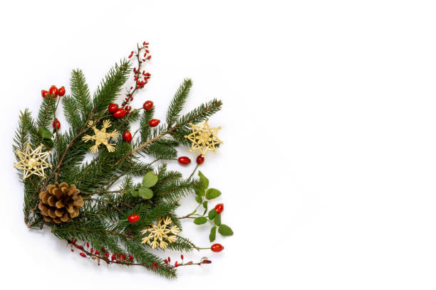 Background with natural floral christmas decoration - floral corner Natural rustic christmas corner - decoration of  green spruce, barberry twigs and wild rose fruits with straw stars on white background rose christmas red white stock pictures, royalty-free photos & images