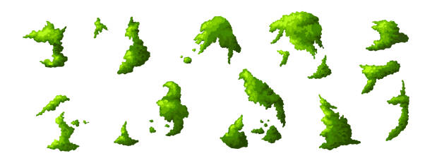 zielony mech bagienny w różnych kształtach. roślina w lesie i żywioł dzikiej przyrody. szablon graficzny izolowany na białym tle. ilustracja wektorowa - moss stock illustrations