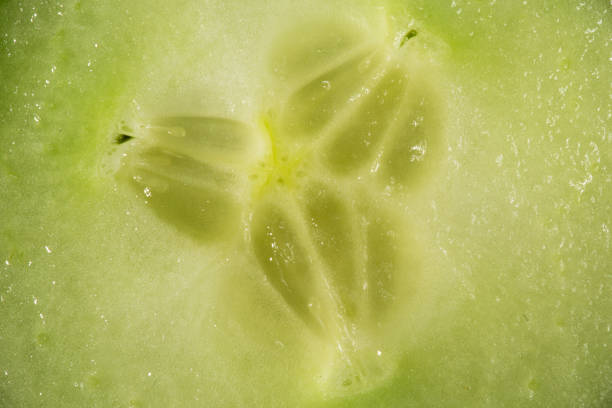 Cucumber texture as a background. A close shot of a cucumber. Macro photo.cucumber.
