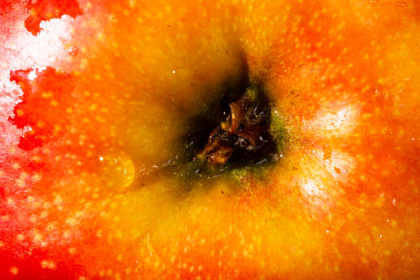 Apple texture as a background. A close shot of an apple. Macro photo.Apple.