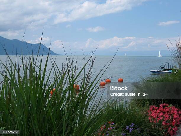 Lake Genfer Stockfoto und mehr Bilder von Berg - Berg, Blau, Blume