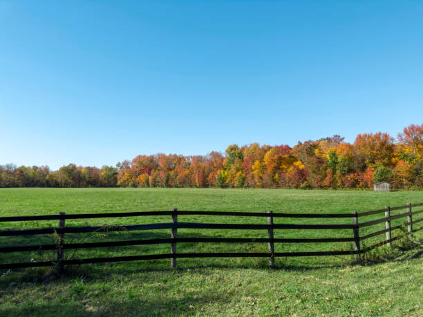 istock Autumn in upstate New York 1447245195