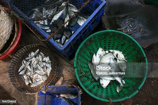 Peixe Nos Cestos - Fotografias de stock e mais imagens de Abundância - Abundância, Animal morto, Ao Ar Livre