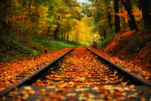 Linha de Comboio em cena de Outono