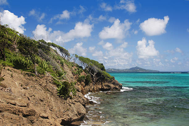 Tobago Cays Marine Park A hillside on an island in the Tobago Cays, part of a marine park in the Caribbean islands of the Grenadines. tobago cays stock pictures, royalty-free photos & images