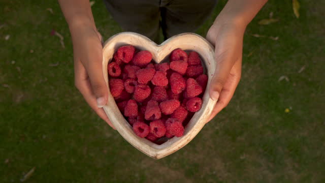 Young woman choosing a raspberry from a heart shaped wooden bowl of fresh red raspberries, heart health or healthy eating lifestyle concept