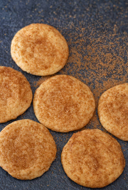 High angle view of snickerdoodle cookies on a dark blue surface with copy space