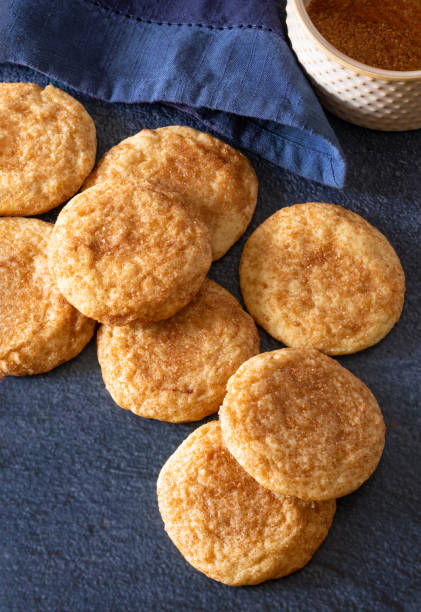 istock High angle view of snickerdoodle cookies on a dark blue surface with copy space 1447250881