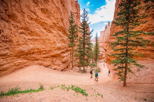Bryce, USA - August 2, 2019: Tourists people walking on trail high angle above view of orange rock formations at Bryce Canyon National Park in Utah