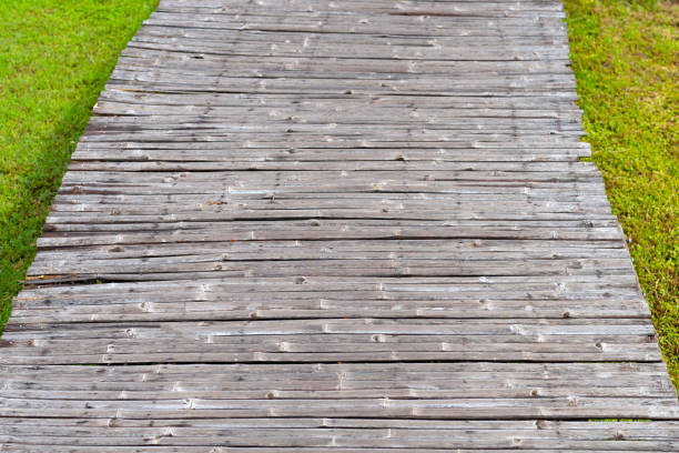 istock Walkway with fresh lawn grass. Beautiful green garden 1447257179