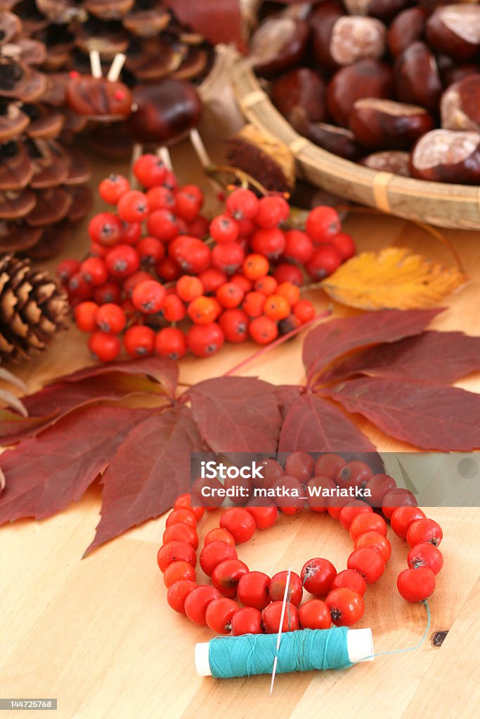 Decoración de otoño - Foto de stock de Bellota libre de derechos